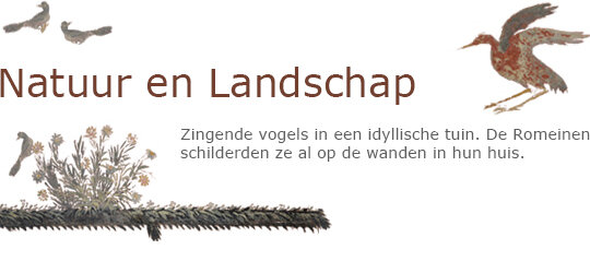 Landschap en Natuur