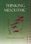 Thinking-Mesolithic